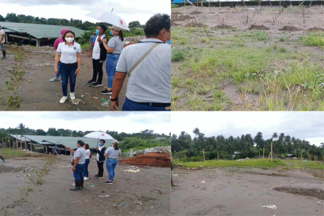 DATING DUMPSITE SA BAYAN NG DAET, NAPAGTATANIMAN NA AT WALA NANG MABAHONG AMOY.